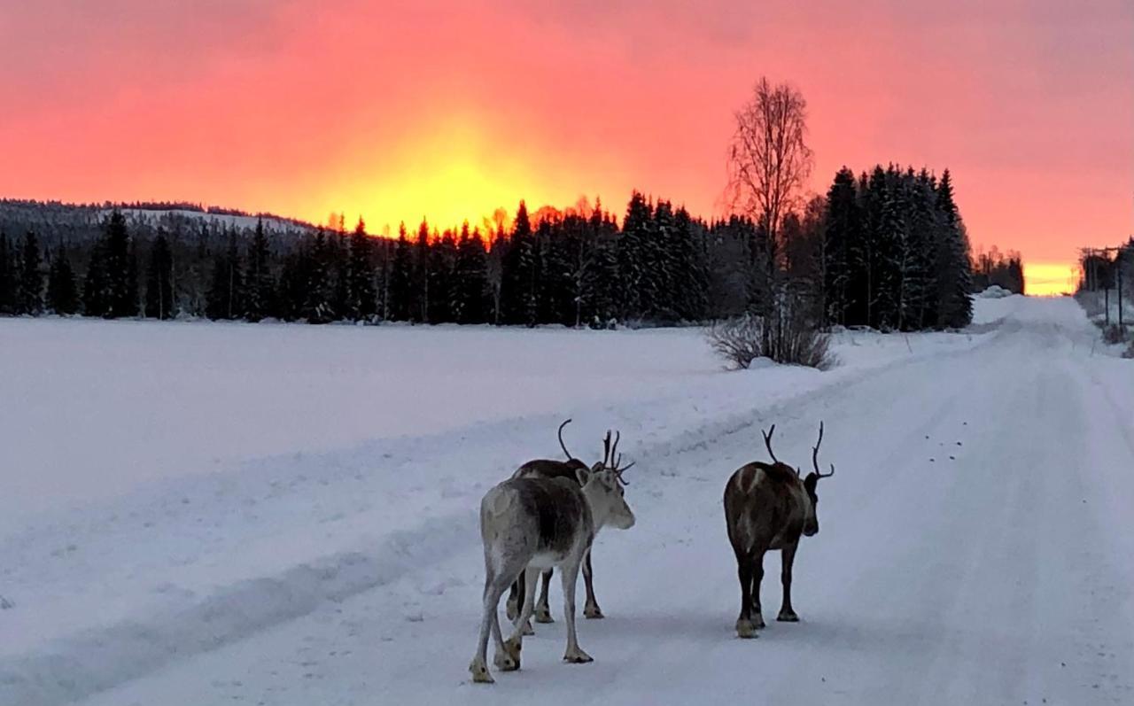 Kaetkae Lake Lodge Tervola ภายนอก รูปภาพ